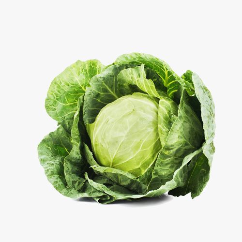 Premium Cabbage Seeds